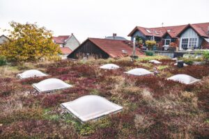 Dachbegrünung – Gewerbeimmobilie Guntersblum