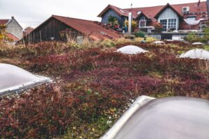 Dachbegrünung – Gewerbeimmobilie Guntersblum