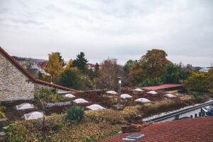 Dachbegrünung – Gewerbeimmobilie Guntersblum